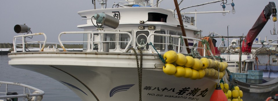 北海道虻田郡洞爺湖町の新鮮な帆立を本物の漁師からあなたへ